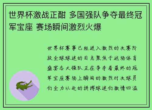 世界杯激战正酣 多国强队争夺最终冠军宝座 赛场瞬间激烈火爆