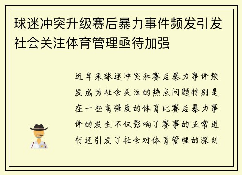 球迷冲突升级赛后暴力事件频发引发社会关注体育管理亟待加强